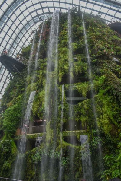 Waterfall at the Cloud Forest entrance, Gardens by the Bay