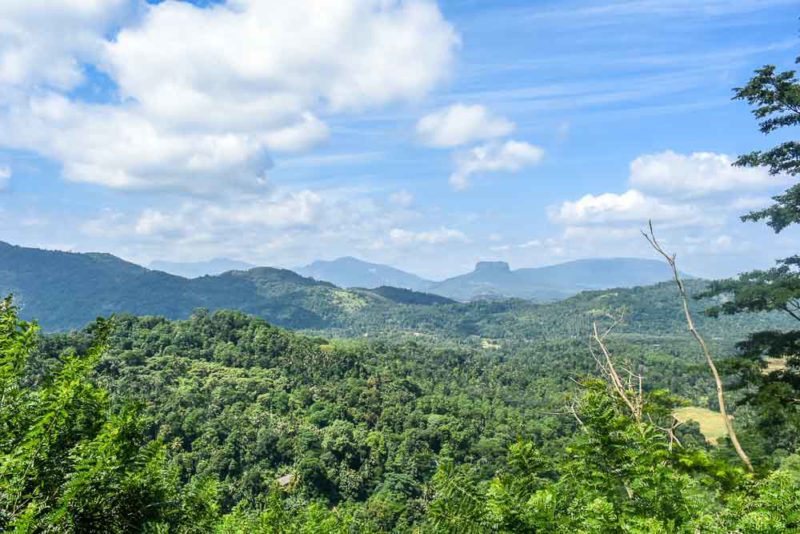 Lush forests on the drive south through Sri Lanka