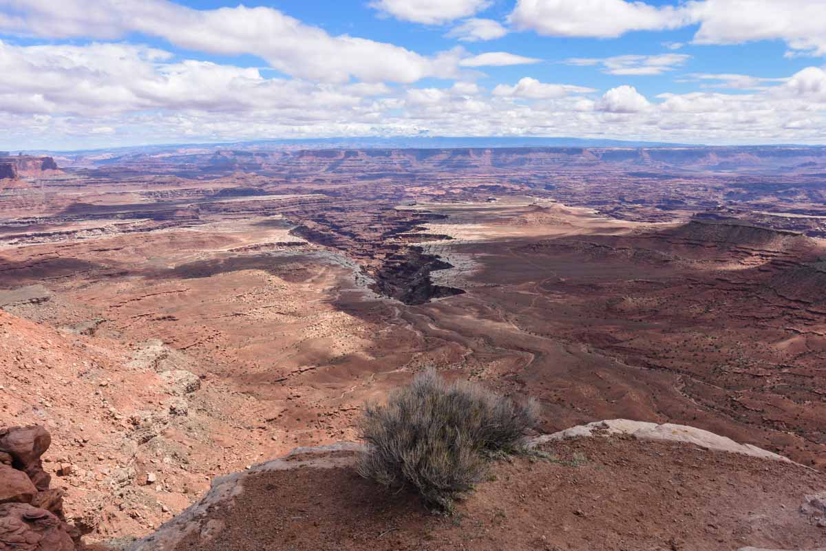 Buck Canyon Overlook Canyonlands Island in the sky