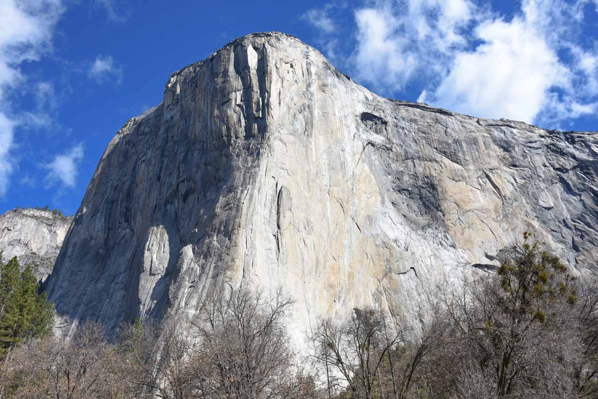 El Capitan from El Capitan Meadow Yosemite National Park