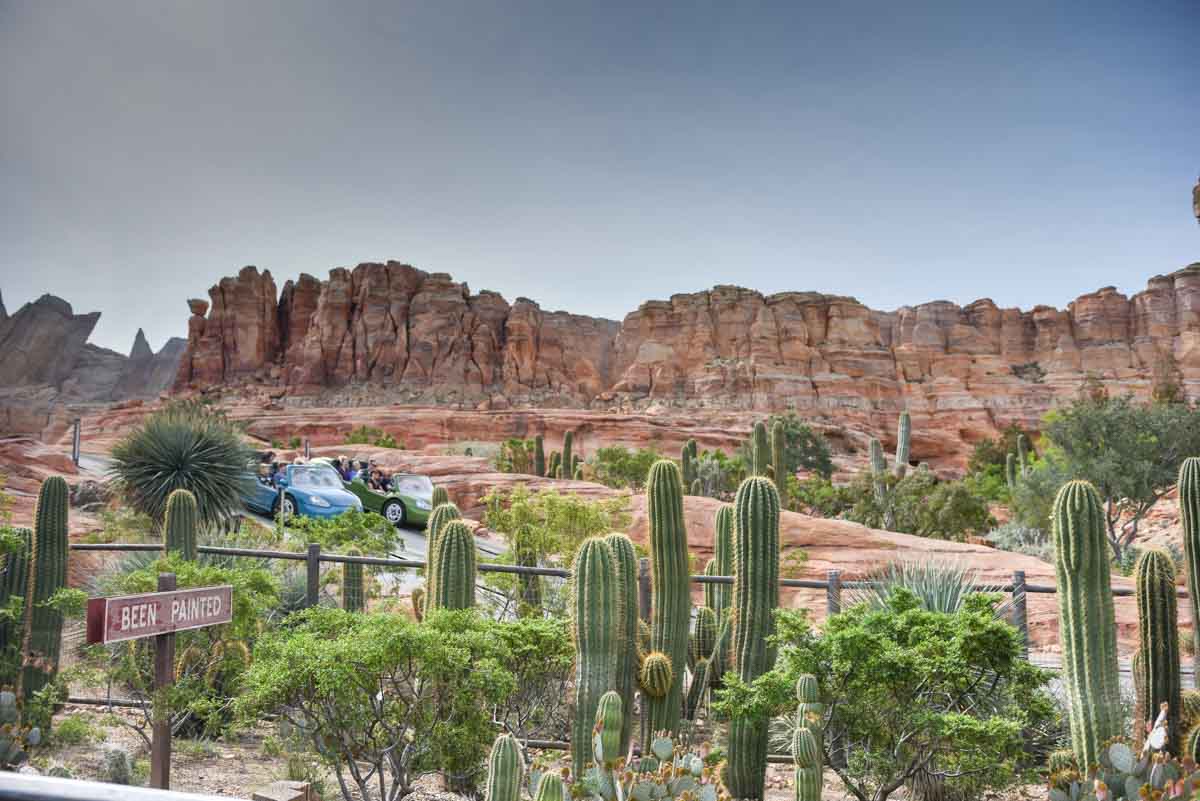 Radiator Springs Racers at California Adventure Anaheim