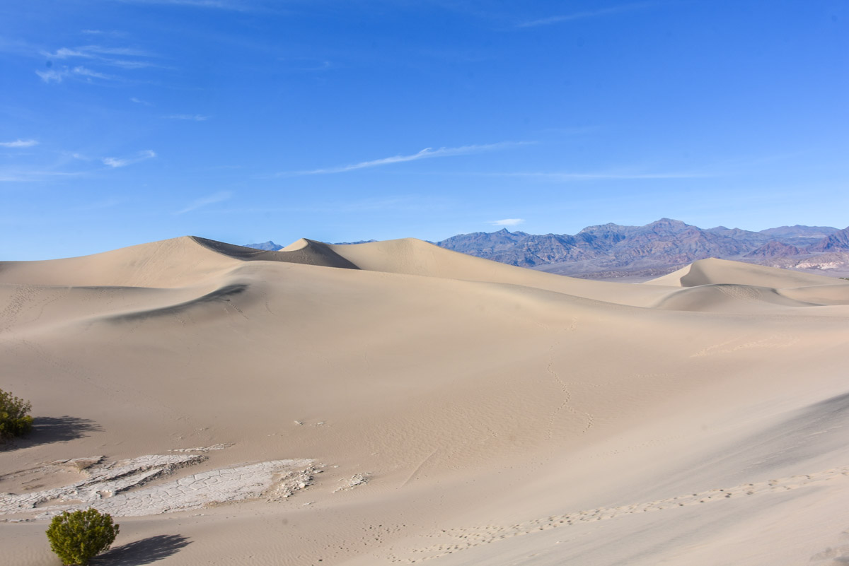 Mesquite Sand Dunes in Death Valley National Park