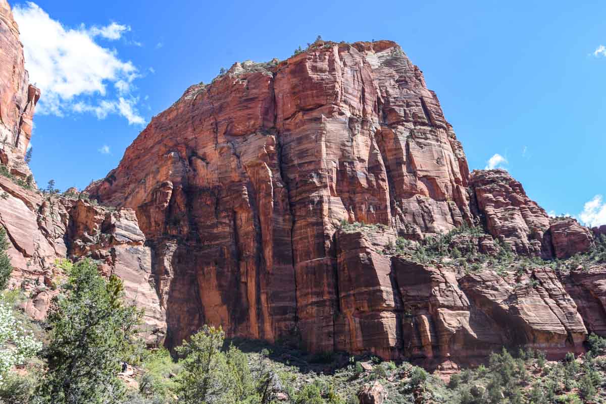 From the bottom of Angel's Landing looking up