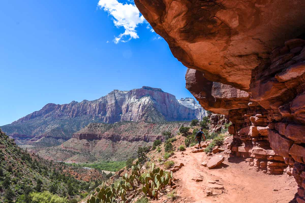 Path along the Watchman's Trail, Zion Canyon