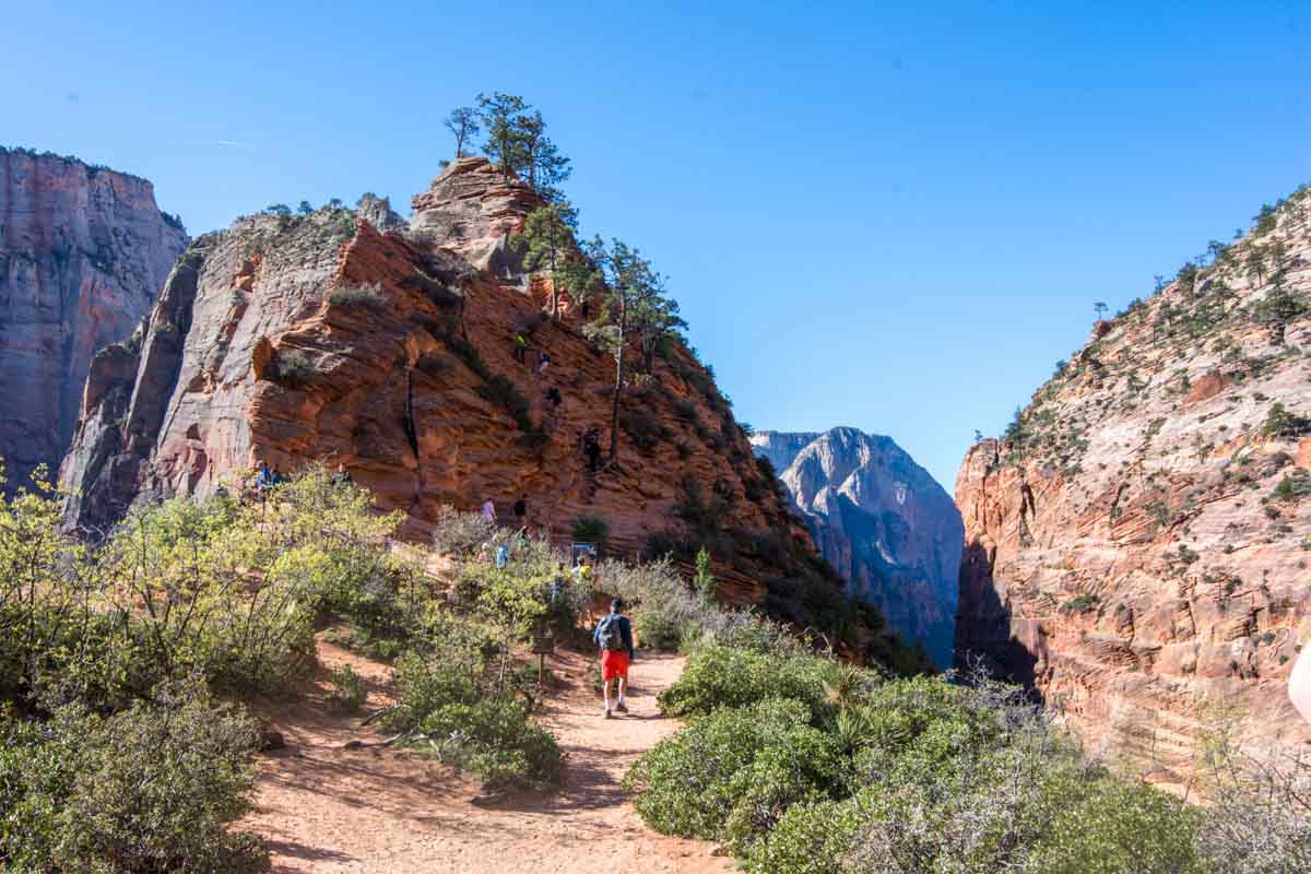 At Scout's Lookout with Angel's Landing front and centre