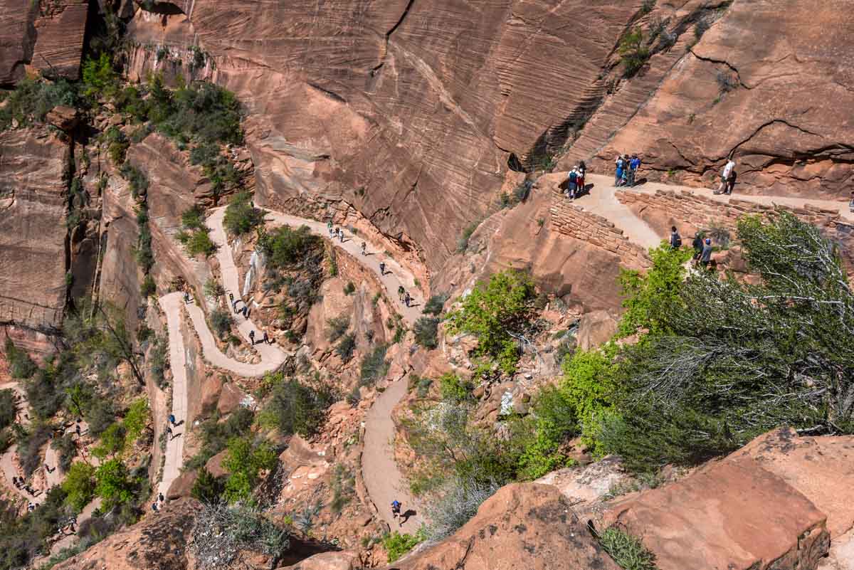 The ridiculous trail leading up to Angel's Landing in Zion Canyon