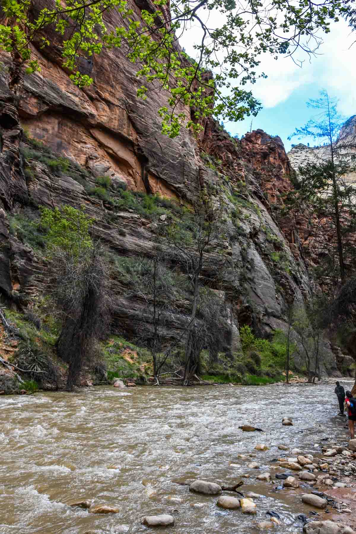 Virgin River along the Zion Canyon Riverside Walk