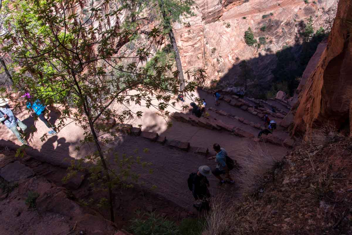 Walter's Wiggles along the walk to Angel's Landing
