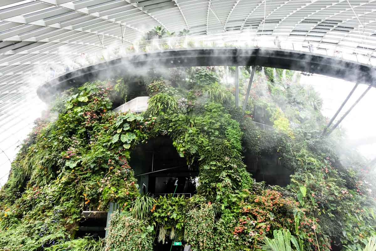 Cloud Forest at Singapore's Gardens by the Bay when they turn the mist on