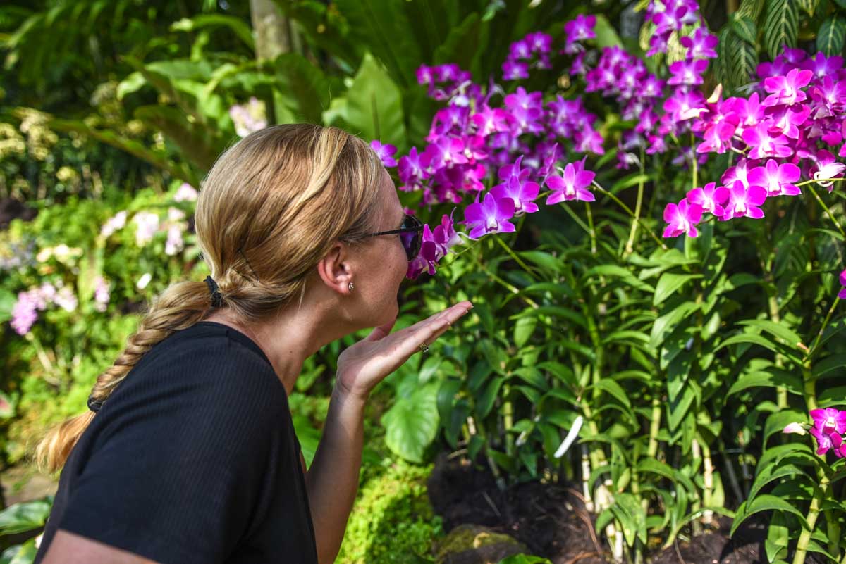 Stopping to Smell the orchids in Singapore's National Orchard Garden